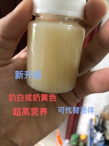 高蛋白撸液 蛋白营养液 店主自用配方 蚂蚁食物新后小群食物 蜂蜜