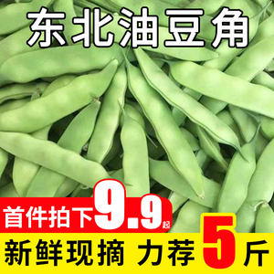 正宗东北油豆角新鲜现摘应季农家蔬菜大扁豆角绿色九月青豆角包邮