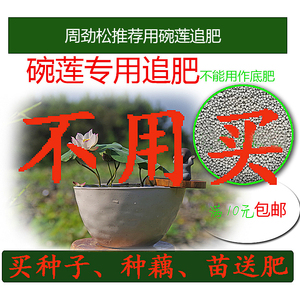 周劲松®推荐微型莲花盆栽微型小荷花水生花卉碗莲迷你专用追肥