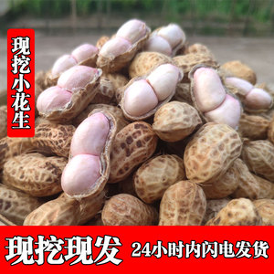 22年新鲜湿花生现挖现发泥花生带壳生花生农家粉皮红皮水煮小花生