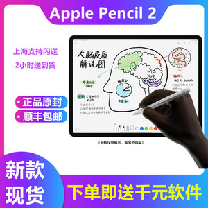 APPLE/苹果ipad pro二代 一代Apple Pencil2国行美版触控笔手写笔