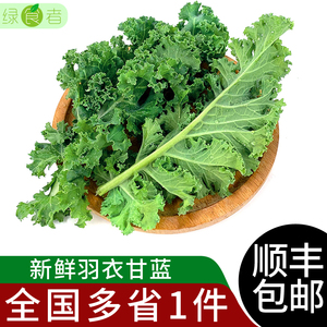 新鲜羽衣甘蓝2斤 嫩叶芥蓝甘兰叶牡丹kale西餐榨汁沙拉蔬菜食材