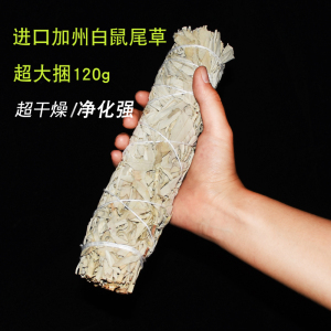 美国加州进口白鼠尾草white sage 空间植物香薰 白色野生多款可选