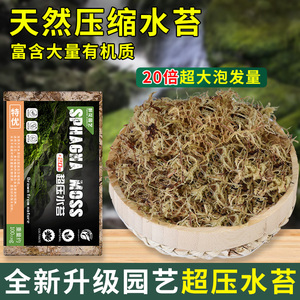 蝴蝶兰花专用水苔营养土干苔藓压缩苔藓石斛食虫植物育苗乌龟垫材