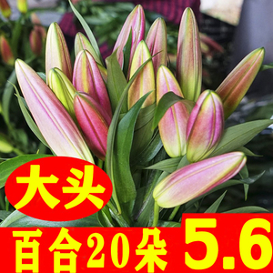 基地香水百合云南百合花鲜花花束插花花苞直发玫瑰花速递向日葵花