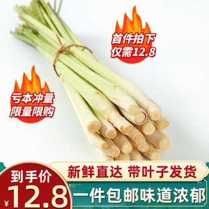 新鲜香茅草柠檬草香茅泰国冬阴功汤料调料香料奶茶店用品500g包邮