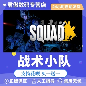 Steam PC正版 游戏 战术小队 成品账号小号 Squad 君傲数码