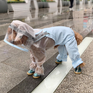 狗狗雨衣小型犬泰迪雪纳瑞小狗中型衣服防水宠物比熊雨披四脚全包