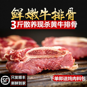 新鲜牛排骨 正宗黄牛 牛排 牛肋排 牛小排 现杀新鲜生牛肉1500g