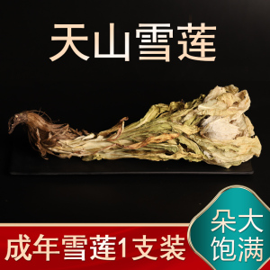 雪莲花天山雪莲干花冰山花茶西藏中药旗舰店新疆特产茶藏雪莲