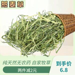 2022国产黄金燕麦草干草兔粮龙猫荷兰猪牧草饲料新草500g两件包邮