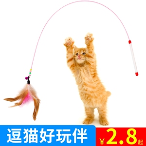 小猫玩具自嗨解闷神器逗猫棒钢丝羽毛长杆幼猫钓竿替换头猫咪用品