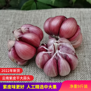 2022年云南紫皮蒜大蒜头干蒜头5斤中大果红皮新鲜蒜头食用新大蒜