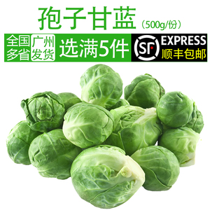 孢子甘蓝新鲜蔬菜西餐沙拉食材迷你小包菜小卷心蔬菜沙拉500g