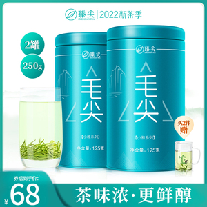 臻尖毛尖茶叶2022年新茶特级明前春茶四川高山绿茶官方旗舰店正品