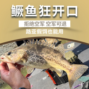 鳜鱼小药诱食剂泡路亚软饵铁板野钓黑坑斑鳜诱鱼剂专钓鳜鱼添加剂