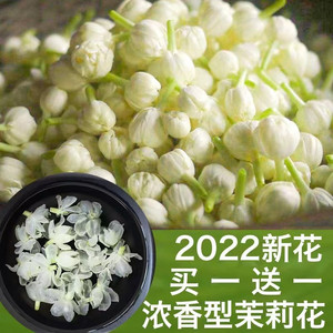 新茉莉花茶浓香型赛特级花苞茶干花朵孕妇茶女生雪球2022广西横县