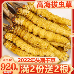 2022年冬虫夏草干货10克/40根头期正品西藏虫草官方旗舰店礼盒装