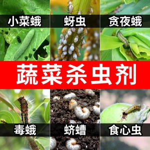 果蔬菜农药专用杀虫剂无毒蚜虫家用花卉大全辣椒叶苗腻虫杀虫剂