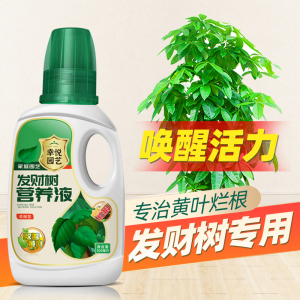 发财树营养液室内专用肥料金钱树幸福树平安树铁树玉树通用型花肥