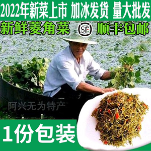 安徽无为特产纯天然新鲜采摘水生野菱角菜凉菜棱角菜特色蔬菜包邮