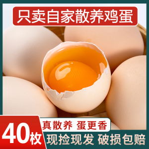 农家散养新鲜鸡蛋40枚土鸡蛋虫草鸡蛋柴鸡蛋笨鸡蛋杂粮喂养整箱