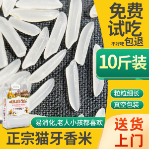 猫牙米长粒香煲仔饭炒饭专用大米10kg 5kg丝苗超长粒大米泰国香米