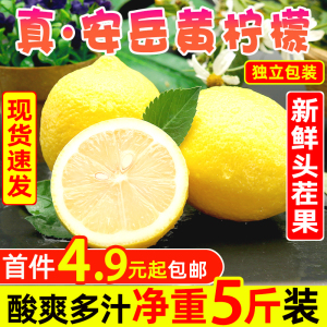 四川安岳黄柠檬新鲜水果5斤当季整箱包邮一级大果皮薄精选香柠檬