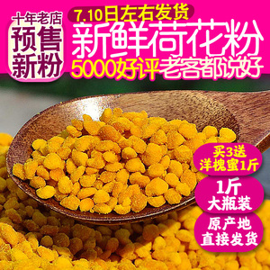 2022新粉上市新鲜荷花粉 纯正天然食用蜂花粉莲花粉正品未破壁1斤