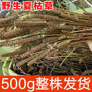 夏枯草500g克整株野生白毛夏枯球泡茶夏姑草球中药材夏菇古草干货