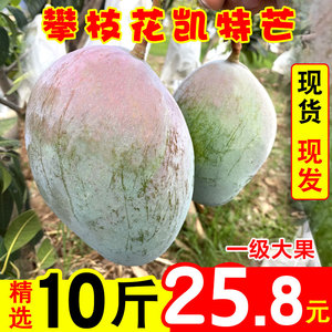 四川攀枝花凯特芒5新鲜当季水果特大青皮新的甜心苹果芒果整箱9斤