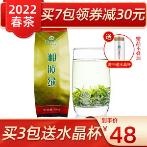 2022春茶新茶湖南长沙绿茶特级浓香型金井茗茶湘丰茶叶200g