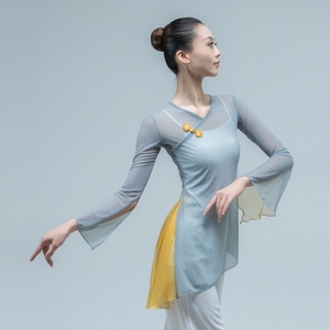 新款古典舞蹈练功服女现代舞成人教师芭蕾舞台表演舞蹈练功服纱衣
