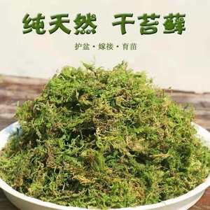 天然干苔藓青苔草优质水苔鲜活蝴蝶兰铁皮石斛专用营养土爬宠包邮