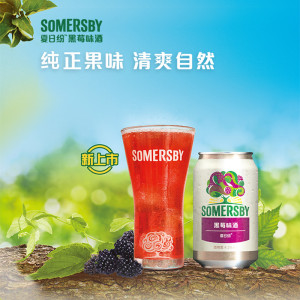 【再来一单】Somersby夏日纷苹果黑莓味果酒330ml两罐口味随机发