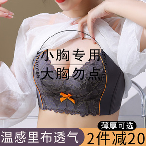 内衣女小胸聚拢中厚款无钢圈调整型收副乳防下垂大胸显小文胸薄款