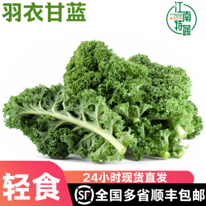 羽衣甘蓝新鲜食用西餐沙拉蔬菜食材榨汁凉拌嫩绿叶芥蓝甘兰叶牡丹