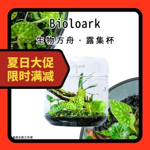 露集杯Bioloark生物方舟苔藓瓶生态瓶高硼硅玻璃瓶微景观苔藓食虫