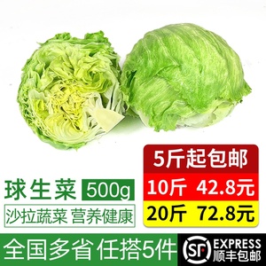 球生菜500g 新鲜沙拉蔬菜西餐汉堡色拉食材圆生菜西生菜满5件包邮