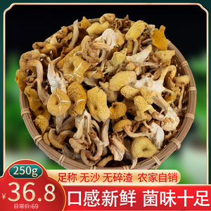 鸡油菌干货特级云南特产黄金菇菌菇包煮汤炒菜菌菇菌类精选鸡油菌