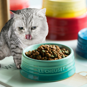 法国同款陶瓷渐变宠物碗狗碗猫碗饮水碗小型犬食盆宠物防滑圆形