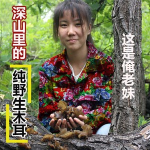 野生黑木耳纯天然东北特产长白山干货500g软糯纯野生特级山秋木耳