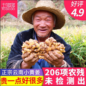 土哆哆云南罗平小黄姜新鲜生姜新嫩姜现挖高山新姜月子姜土姜蔬菜