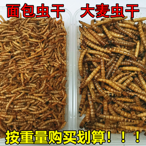 面包虫子干大麦虫干黄粉虫干小虫高蛋白500g鸟仓鼠鱼宠物零食包邮