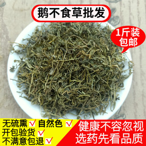 中药材鹅不食草 野生新鲜干货500g包邮食胡荽鹅不食 鹅不食草粉末