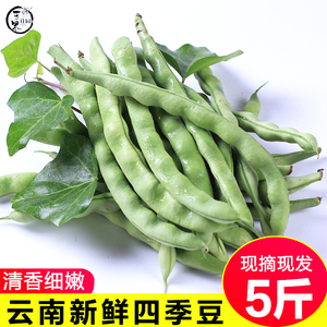 云南四季豆角芸豆长扁豆角新鲜蔬菜农家自种青扁豆豆米5斤包邮