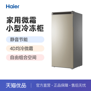 Haier/海尔 BD-193MDT 节能微霜立式小型冷冻冰柜