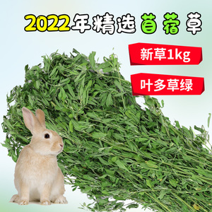 22年新草苜蓿草牧草干草箱装苜蓿草毛重1千克包邮全国大部分地区