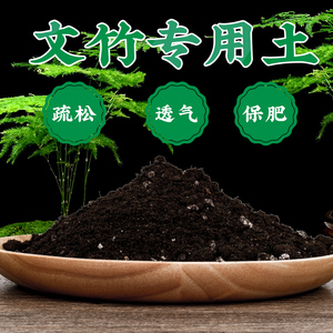 文竹专用土文竹土盆栽营养土通用型种植土种花泥土疏松透气土壤肥