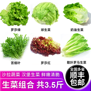 新鲜生菜组合3.5斤 沙拉蔬菜汉堡球生菜生吃火锅健身轻食混合食材